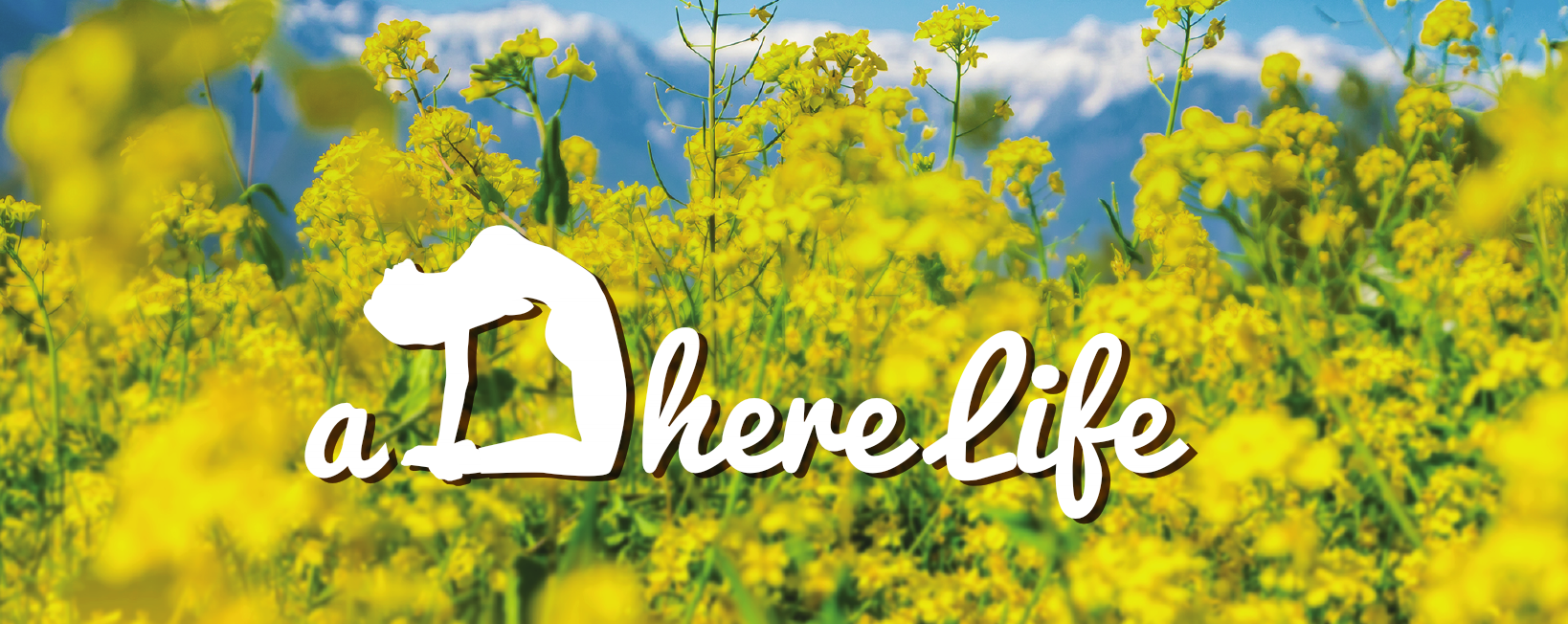 aDhere Life - 堅持每天健康的生活